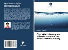 Charakterisierung von Klärschlamm aus der Abwasserbehandlung kitap kapağı