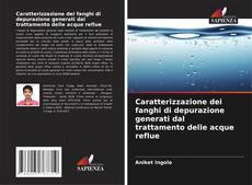 Borítókép a  Caratterizzazione dei fanghi di depurazione generati dal trattamento delle acque reflue - hoz