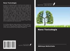 Nano Toxicología kitap kapağı
