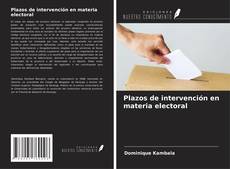 Plazos de intervención en materia electoral kitap kapağı