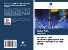 Korrosion und Kerbschlagzähigkeit von Schweißnähten aus AISI 410SS kitap kapağı