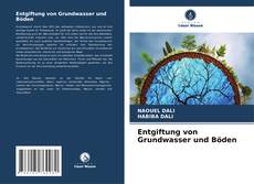 Portada del libro de Entgiftung von Grundwasser und Böden
