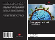 Capa do livro de Groundwater and soil remediation 