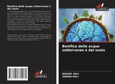 Portada del libro de Bonifica delle acque sotterranee e del suolo