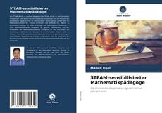 STEAM-sensibilisierter Mathematikpädagoge kitap kapağı