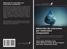 Adsorción de colorantes por materiales compuestos的封面