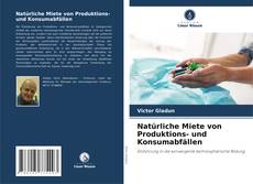 Natürliche Miete von Produktions- und Konsumabfällen kitap kapağı