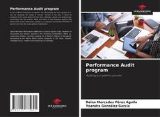 Performance Audit program kitap kapağı