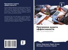 Portada del libro de Программа аудита эффективности