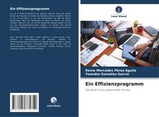 Bookcover of Ein Effizienzprogramm
