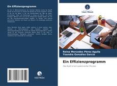 Ein Effizienzprogramm kitap kapağı