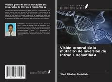 Buchcover von Visión general de la mutación de inversión de Intron 1 Hemofilia A