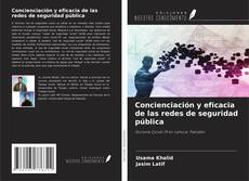 Portada del libro de Concienciación y eficacia de las redes de seguridad pública