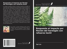 Respuesta al impacto por flexión del hormigón con refuerzo textil kitap kapağı