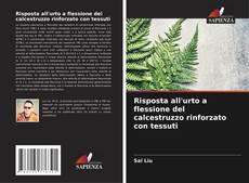 Borítókép a  Risposta all'urto a flessione del calcestruzzo rinforzato con tessuti - hoz