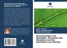 Auswirkungen von Molybdän, Schwefel und Phosphor auf das Wachstum von Weizen kitap kapağı