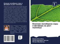 Bookcover of Влияние молибдена серы и фосфора на рост пшеницы