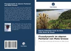 Flussdynamik im oberen Pantanal von Mato Grosso kitap kapağı