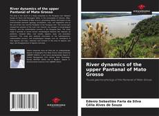 Buchcover von River dynamics of the upper Pantanal of Mato Grosso