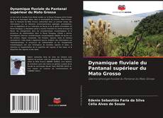 Buchcover von Dynamique fluviale du Pantanal supérieur du Mato Grosso