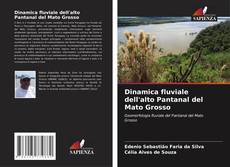 Bookcover of Dinamica fluviale dell'alto Pantanal del Mato Grosso