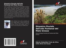 Capa do livro de Dinamica fluviale dell'alto Pantanal del Mato Grosso 