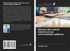 Eficacia del control interno en las universidades públicas kitap kapağı