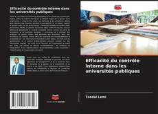 Efficacité du contrôle interne dans les universités publiques kitap kapağı