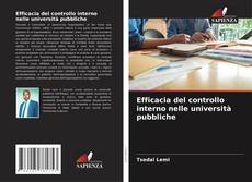 Capa do livro de Efficacia del controllo interno nelle università pubbliche 