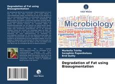 Обложка Degradation of Fat using Bioaugmentation