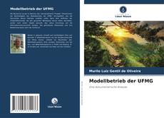 Buchcover von Modellbetrieb der UFMG
