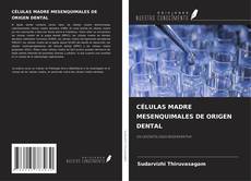 Buchcover von CÉLULAS MADRE MESENQUIMALES DE ORIGEN DENTAL