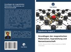 Buchcover von Grundlagen der magnetischen Materialien, Supraleitung und Nanowissenschaft