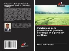 Couverture de Valutazione delle prestazioni di gestione dell'acqua in 5 perimetri del Niger