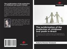 Buchcover von The juridicization of the protection of childhood and youth in Brazil