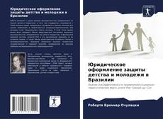 Обложка Юридическое оформление защиты детства и молодежи в Бразилии