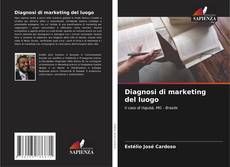 Couverture de Diagnosi di marketing del luogo