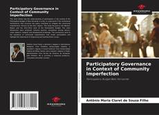 Participatory Governance in Context of Community Imperfection kitap kapağı