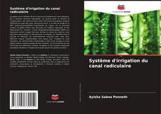 Capa do livro de Système d'irrigation du canal radiculaire 