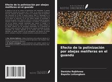 Capa do livro de Efecto de la polinización por abejas melíferas en el guandú 