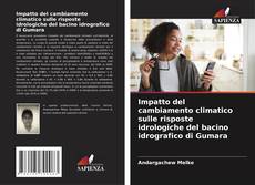 Couverture de Impatto del cambiamento climatico sulle risposte idrologiche del bacino idrografico di Gumara