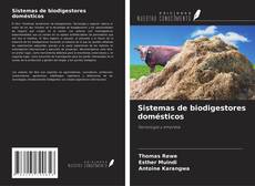 Sistemas de biodigestores domésticos kitap kapağı