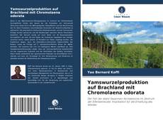 Yamswurzelproduktion auf Brachland mit Chromolaena odorata kitap kapağı