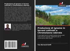 Capa do livro de Produzione di igname in terreni coltivati a Chromolaena odorata 