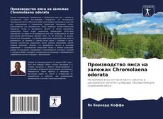 Производство ямса на залежах Chromolaena odorata kitap kapağı