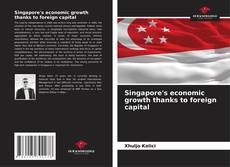 Singapore's economic growth thanks to foreign capital kitap kapağı