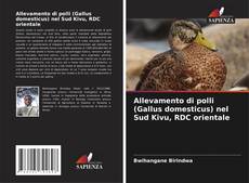 Capa do livro de Allevamento di polli (Gallus domesticus) nel Sud Kivu, RDC orientale 