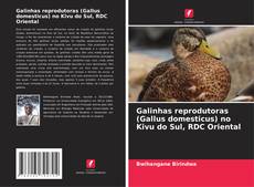 Обложка Galinhas reprodutoras (Gallus domesticus) no Kivu do Sul, RDC Oriental