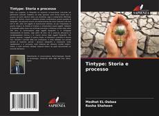 Bookcover of Tintype: Storia e processo