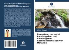Bookcover of Bewertung der nicht karzinogenen und karzinogenen Gesundheitsrisiken von Metallen